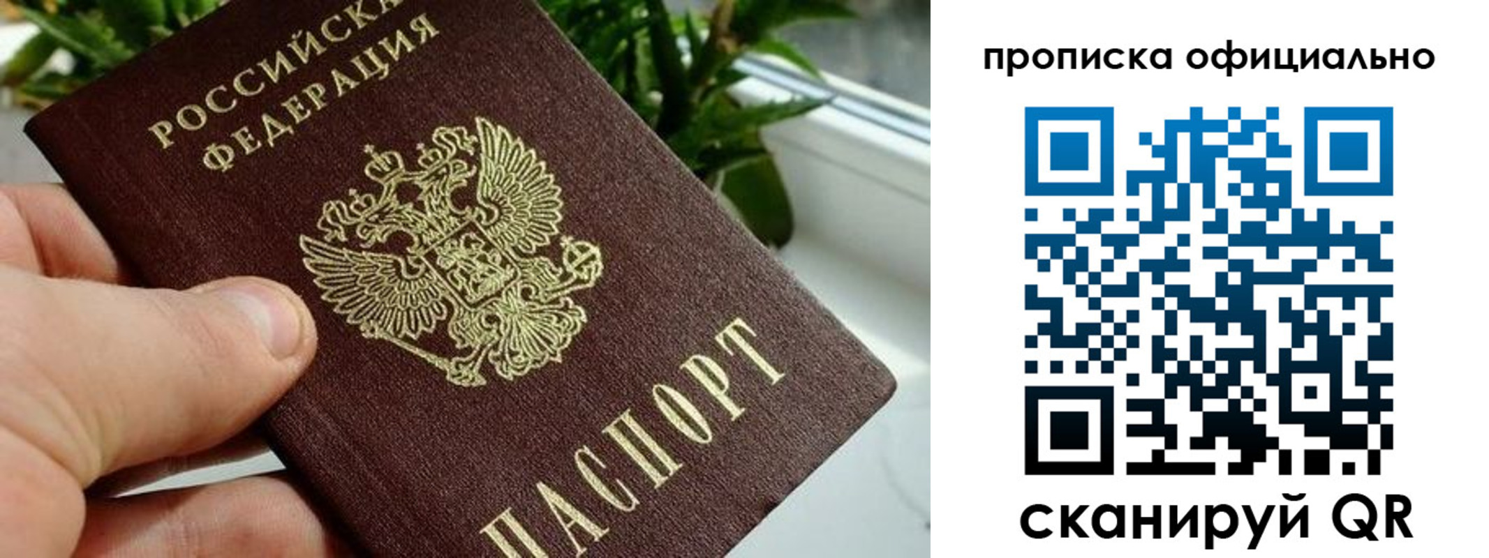 прописка поиск в Нефтекумске
